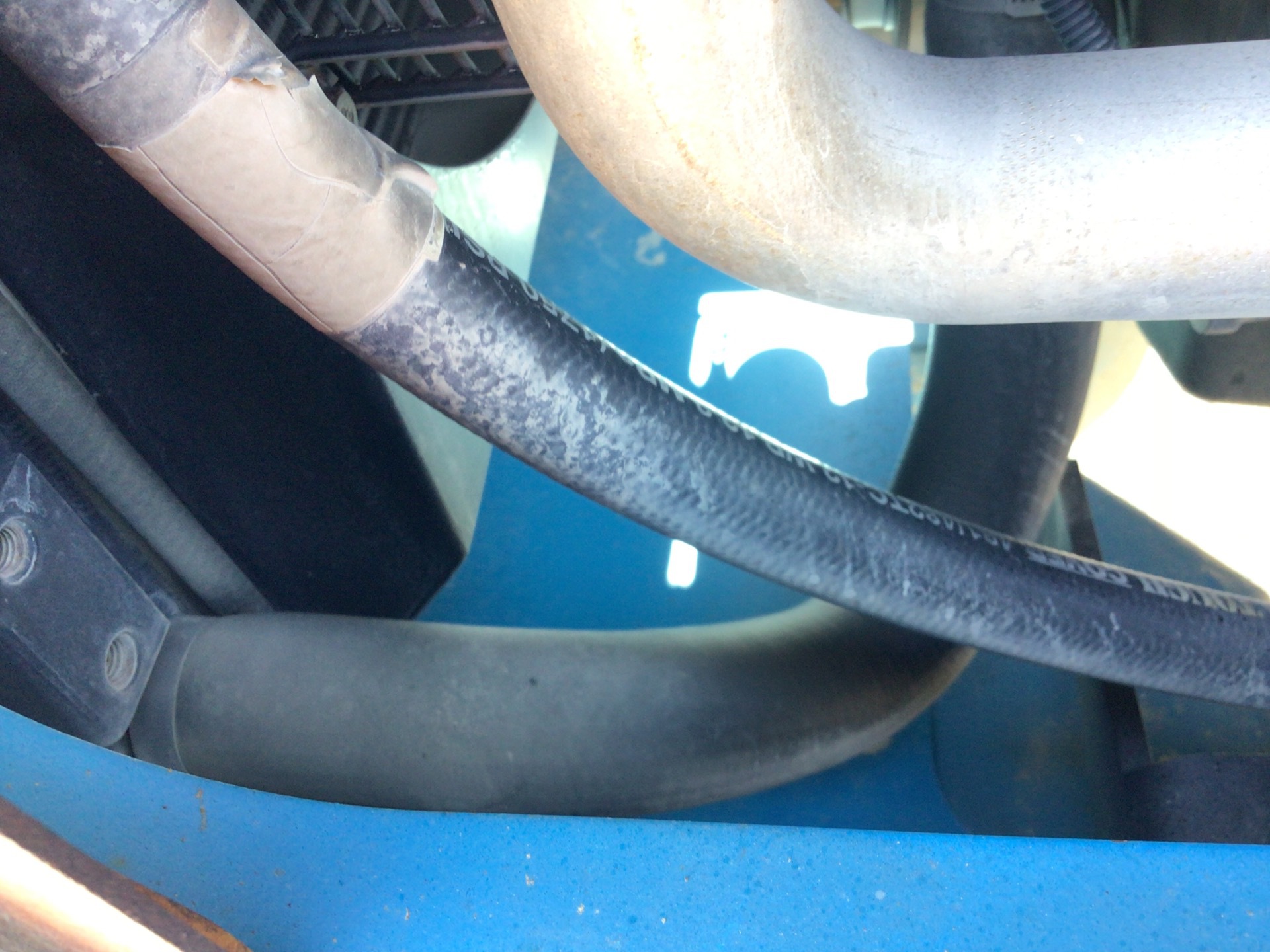 Photo - 38